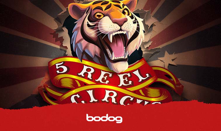 5 Reel Circus, o caça níquel online mais divertido