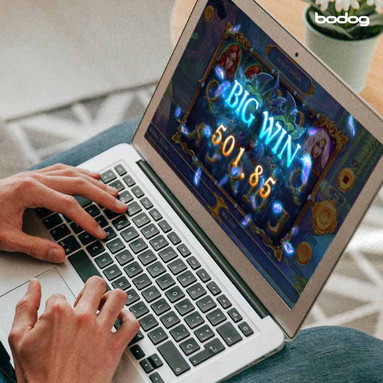 computadora jugando fairy wins