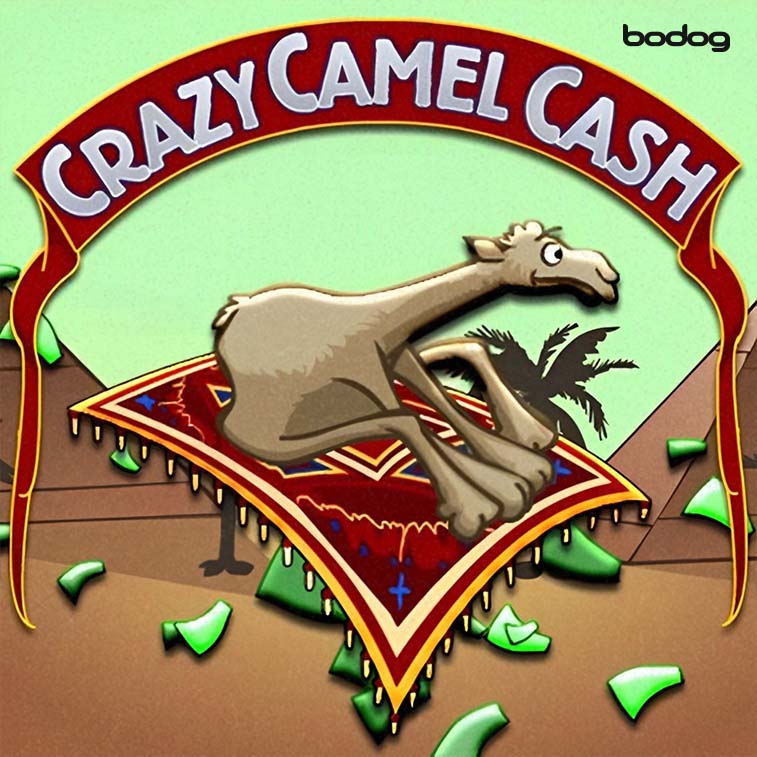 Corra com os camelos e ganhe na Bodog!