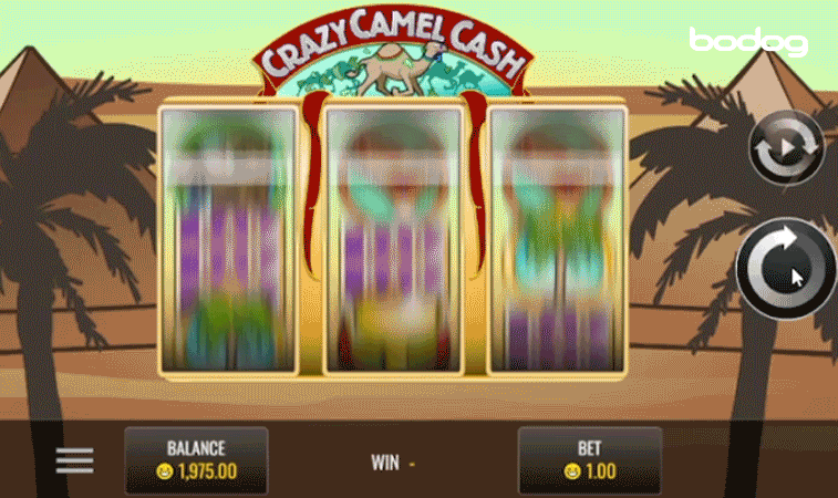 A mecânica de Crazy Camel Cash
