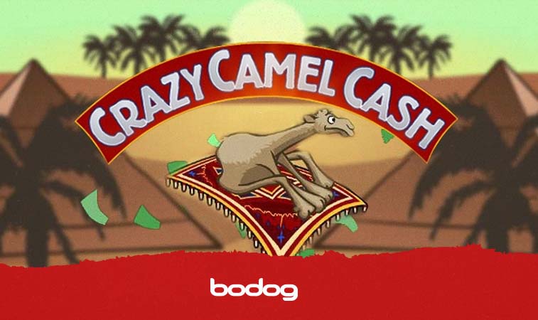 crazy camel cash arte del juego