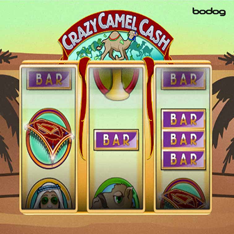 crazy camel cash carretes
