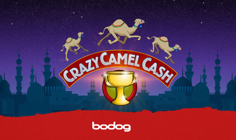 Crazy Camel Cash, um camelo louco com ganhos garantidos!