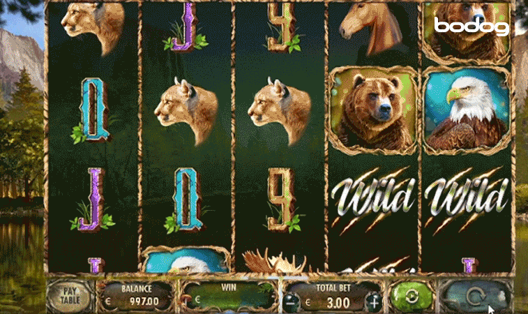 O que esperar de RTP, Volatilidade e Bônus em Animal Wilds?