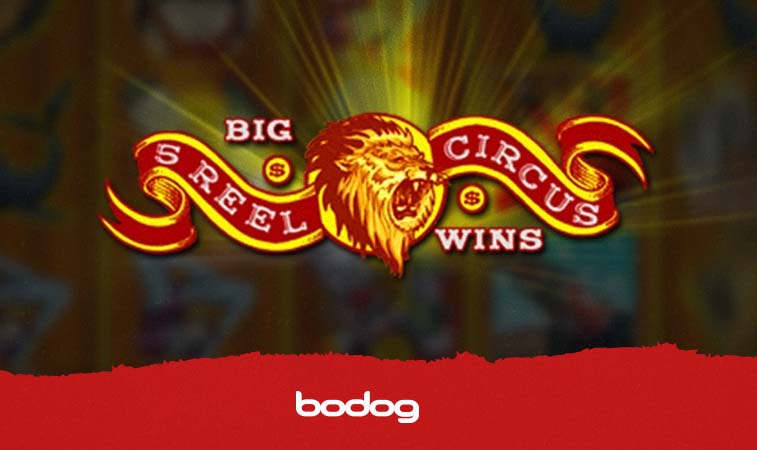 5 reel circus lion