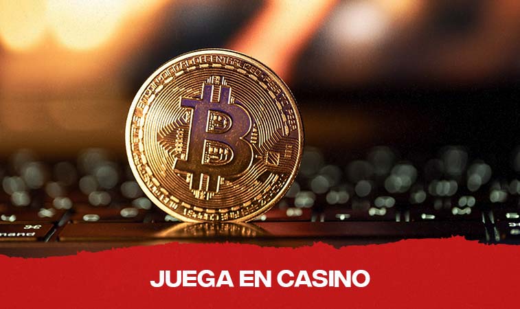 moneda bitcoin cripto