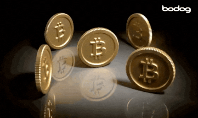 bitcoin criptomoneda precio