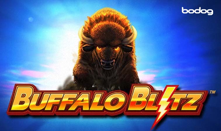 gráfica con búfalo y logo de Buffalo Blitz