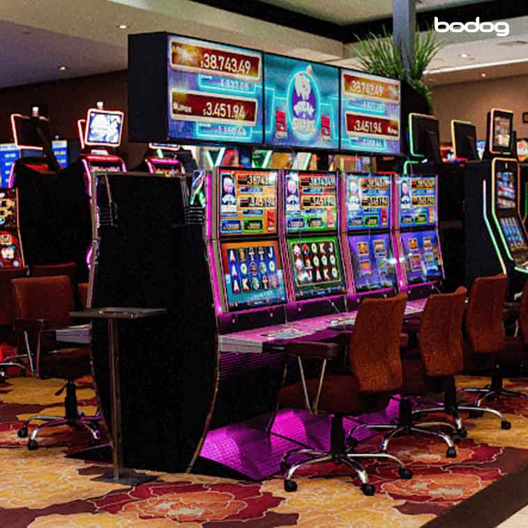 tragamonedas en casino de san luis potosí