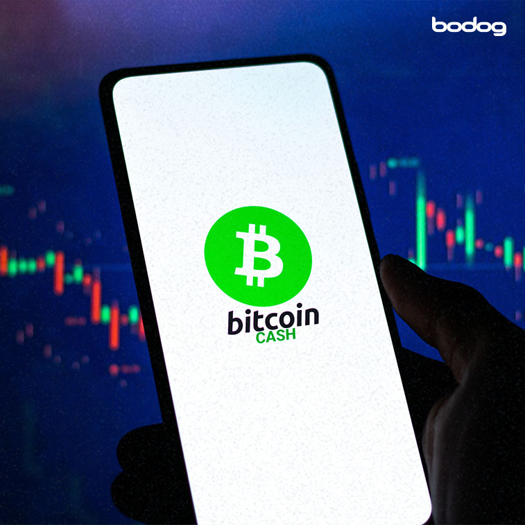 bitcoin cash en telefono