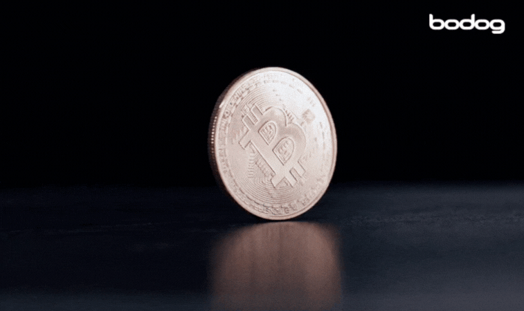 moneda bitcoin cripto