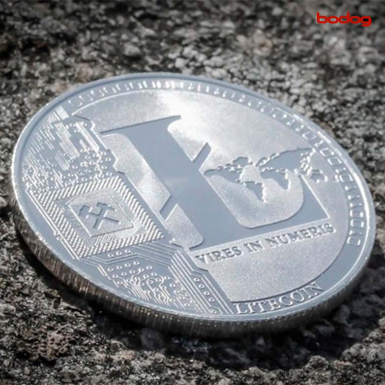 moneda litecoin apostar online