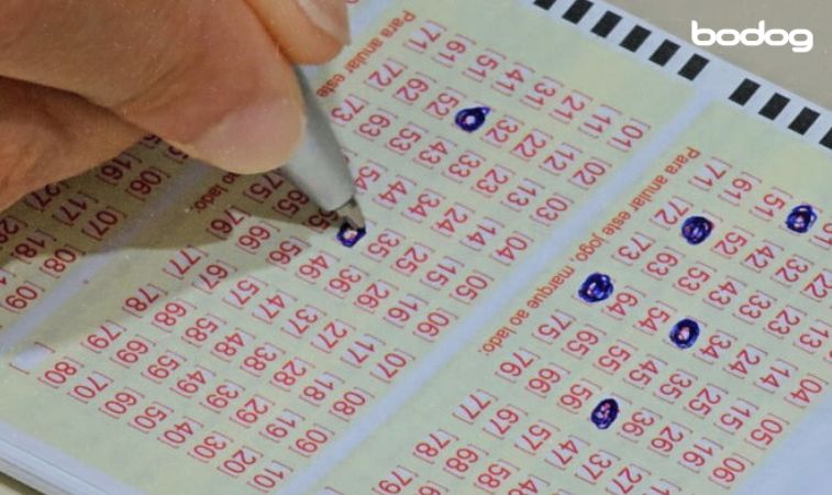 Quantos números preciso acertar para ganhar na Quina?