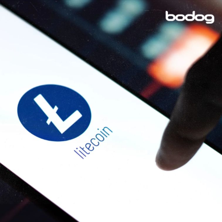 wallet-litecoin-grafico